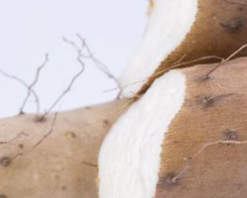 喝酒易伤肝 爱喝酒的人怎么养护肝脏