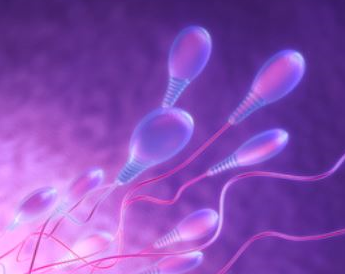 男性精子少怎么回事 有哪些原因