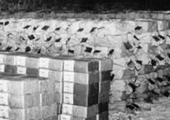 希特勒的神秘金库:黄金堆积如山,古玩数不胜数,吸引上万寻宝者