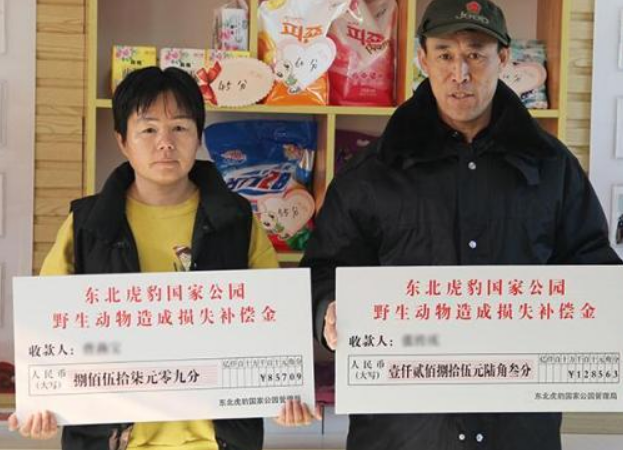 东北虎豹国家公园推出野生动物肇事补偿新机制