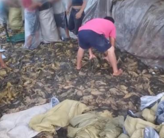 热搜第一!康师傅、统一、肯德基、今麦郎、白象深夜回应