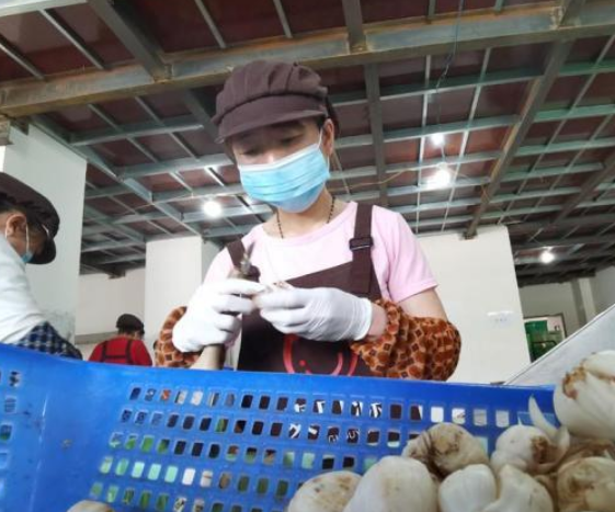 兰州推进“牛肉面”商标申请 品牌发展成增收实惠