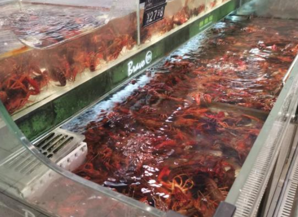 小龙虾大降价,产地每斤不到10元,你买了吗?