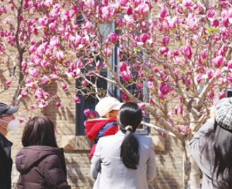 春季防过敏重在防花粉防晒防尘