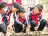 种子洒在校园的“田间地头”