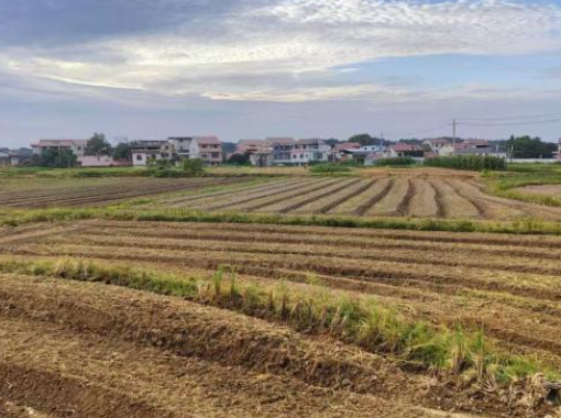 让“闲田”有“钱景” 湖南零陵全力推进秋冬种