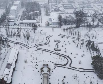 “中国最冷小镇”呼中迎暴雪 游客打伞赏雪