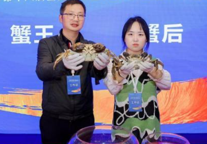 全国3000余只河蟹在沪角逐“蟹王蟹后”
