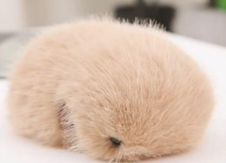 小机器人求摸头、仙人掌随时尬聊……玩具也玩起大模型了