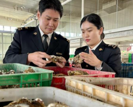 山东牡蛎抢“鲜”海外市场