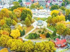 和平区中心公园色彩斑斓美不胜收