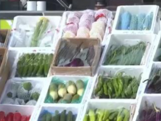 应对低温挑战 多地数措并举保障百姓“菜篮子”供应充足