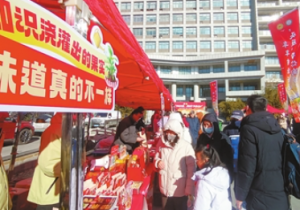 首届“头雁”年货节展销
