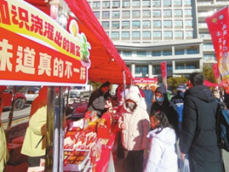 首届“头雁”年货节展销