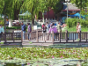 水上公园风景美